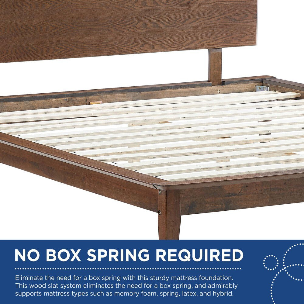 MOD-6250-WAL Astra Wood Queen Platform Bed by Modway