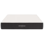 MOD-5338-WHI Aveline 10" Queen Mattress by Modway