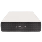 MOD-5487-WHI Aveline 10" Twin Mattress by Modway