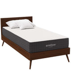 MOD-5487-WHI Aveline 10" Twin Mattress by Modway
