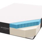 MOD-6598-WHI Aveline 12" Memory Foam Twin Mattress by Modway