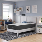 MOD-6598-WHI Aveline 12" Memory Foam Twin Mattress by Modway