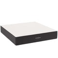 Modway MOD-6605-WHI Aveline 14" Memory Foam King Mattress White