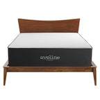 MOD-6607-WHI Aveline 16" Memory Foam Full Mattress by Modway