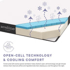 MOD-5491-WHI Aveline 6" King Mattress by Modway