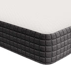 MOD-5491-WHI Aveline 6" King Mattress by Modway