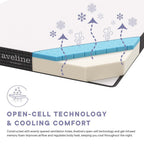 MOD-6137-WHI Aveline 6" Narrow Twin Mattress by Modway