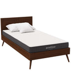 MOD-6137-WHI Aveline 6" Narrow Twin Mattress by Modway