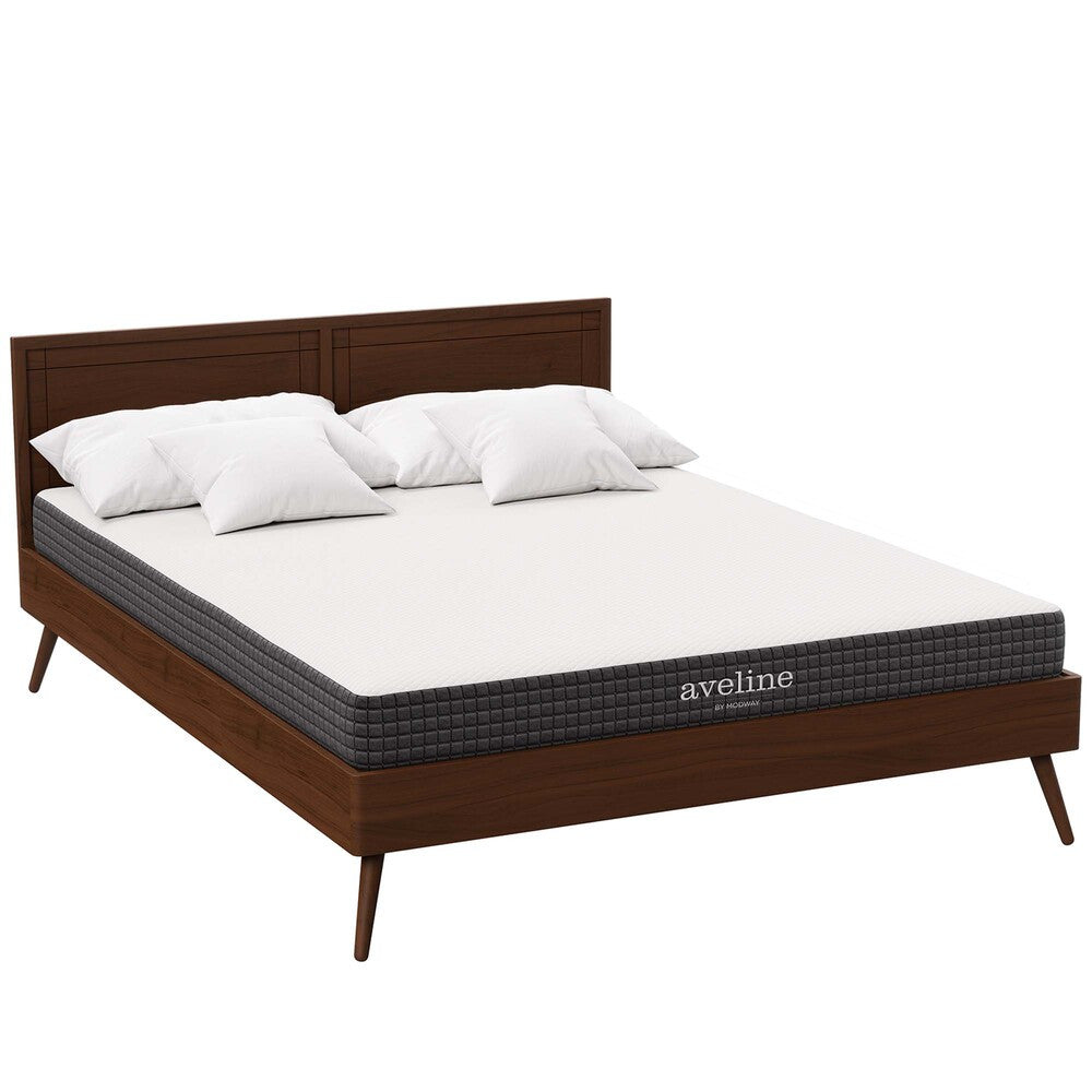 MOD-5346-WHI Aveline 6" Queen Mattress by Modway