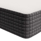MOD-5342-WHI Aveline 8" Full Mattress by Modway