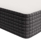 MOD-5343-WHI Aveline 8" Queen Mattress by Modway