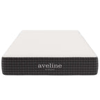 MOD-7107-WHI Aveline 8" Twin XL Mattress by Modway