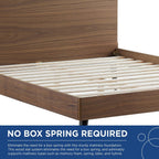 MOD-6254-WAL Bronwen Wood Queen Platform Bed by Modway