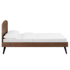 MOD-6254-WAL Bronwen Wood Queen Platform Bed by Modway