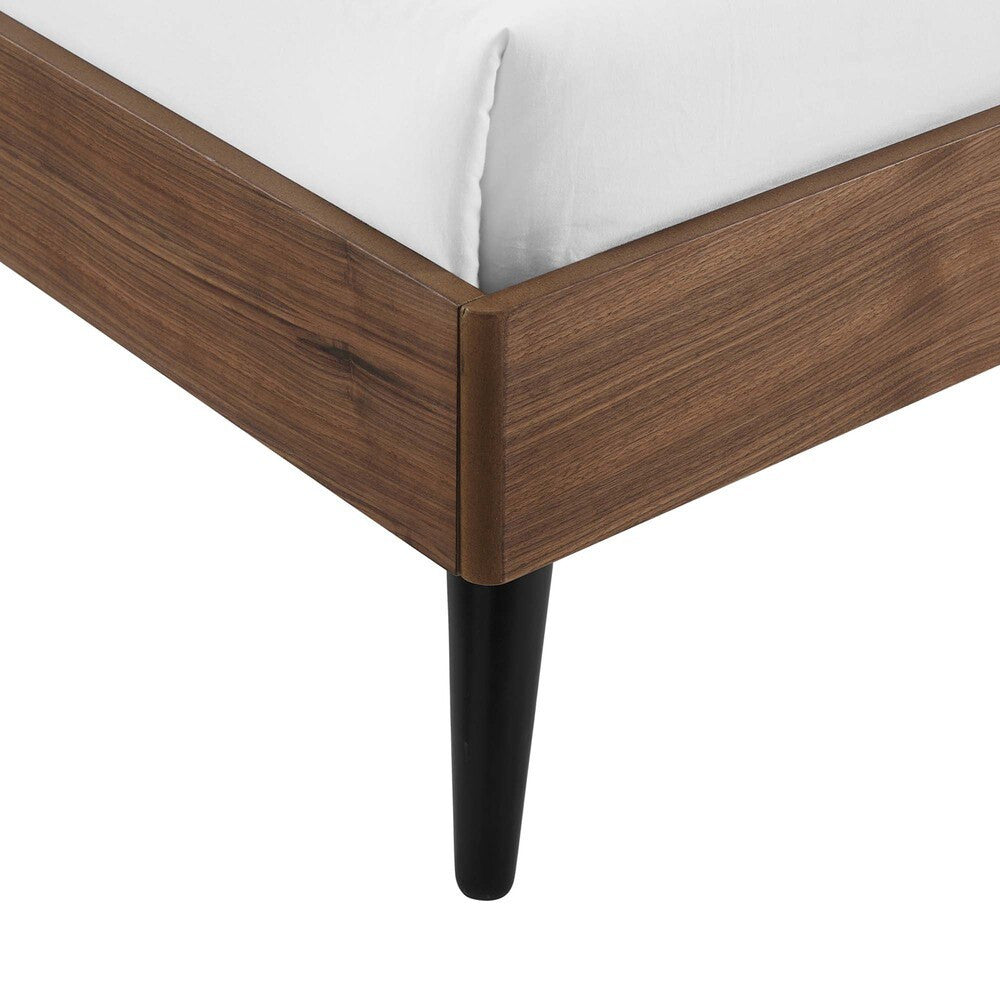 MOD-6254-WAL Bronwen Wood Queen Platform Bed by Modway