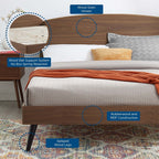 MOD-6254-WAL Bronwen Wood Queen Platform Bed by Modway