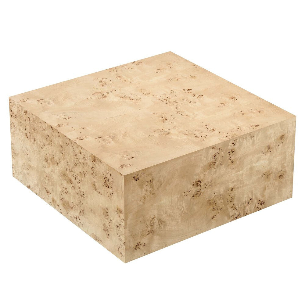 EEI-6272 Cosmos 36" Square Burl Wood Coffee Table by Modway