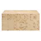 EEI-6272 Cosmos 36" Square Burl Wood Coffee Table by Modway