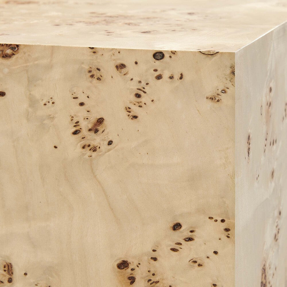 EEI-6272 Cosmos 36" Square Burl Wood Coffee Table by Modway