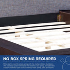 MOD-5721 Freja Fabric Queen Platform Bed by Modway