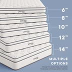 MOD-7089-WHI Jenna 12" Innerspring and Foam Queen Mattress by Modway