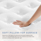 MOD-7096-WHI Jenna 6" Innerspring and Foam King Mattress by Modway
