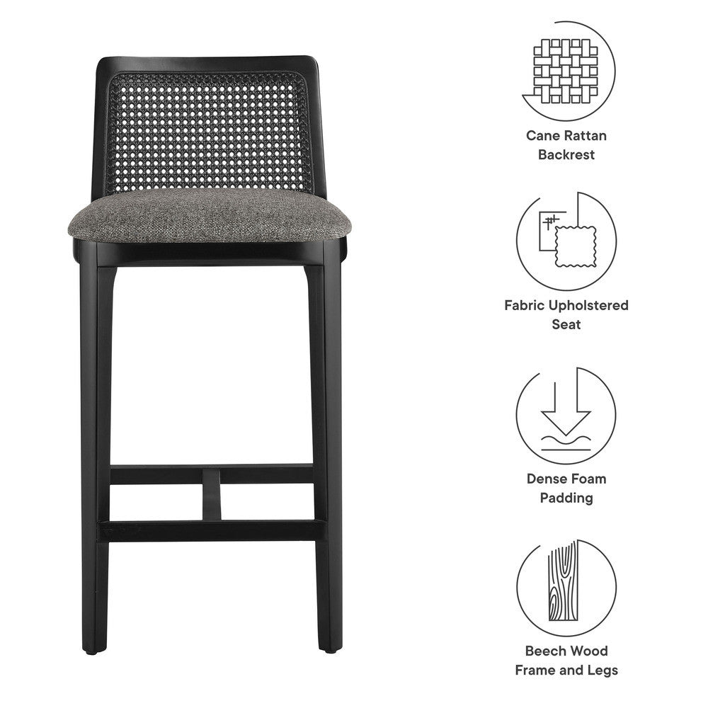 EEI-6845 Monarch Wood and Rattan Counter Stool by Modway