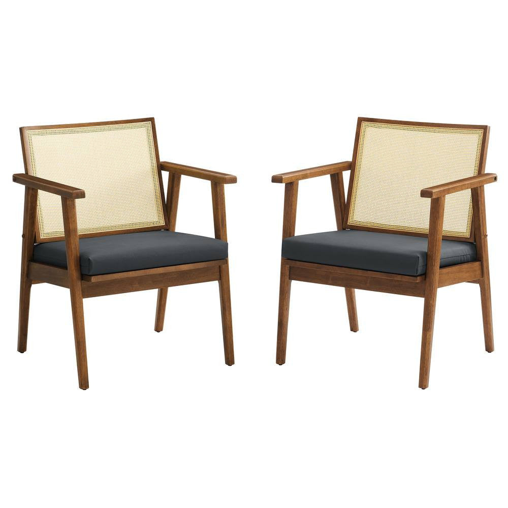 EEI-6921 Thera Vegan Leather and Cane Accent Armchairs Set of 2 by Modway